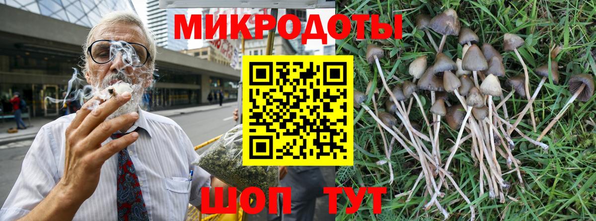 Сибай  Псилоцибиновые грибы прущие грибы  Вход с VPN 